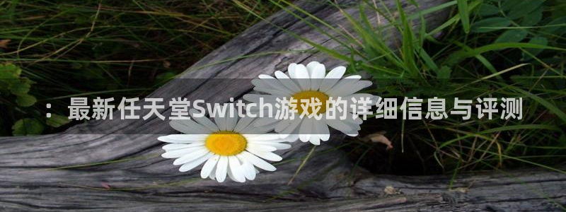 星欧娱乐升级5994月：：最新任天堂Switch游戏的详细信
