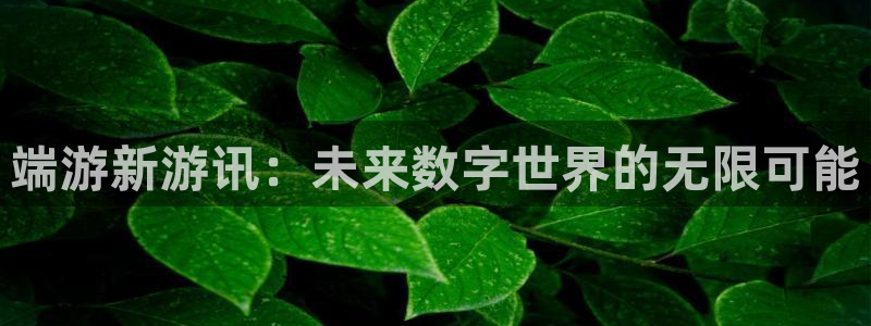 星欧娱乐登陆测速：端游新游讯：未来数字世界的无限可能