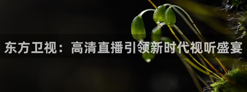 nba火凤体育免费直播