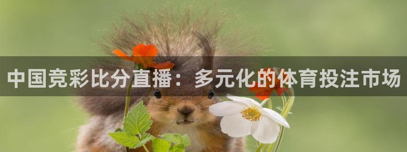 火凤直播足球：中国竞彩比分直播：多元化的体育投注市场