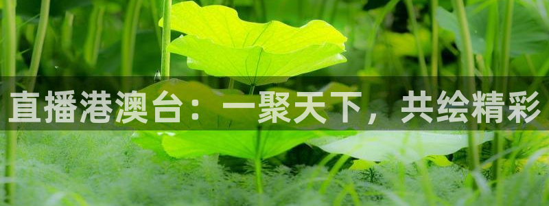 火凤体育免费直播在线观看：直播港澳台：一聚天下，共绘精彩