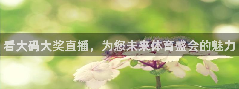 火凤免费观看体育直播：看大码大奖直播，为您未来体育盛会的魅力
