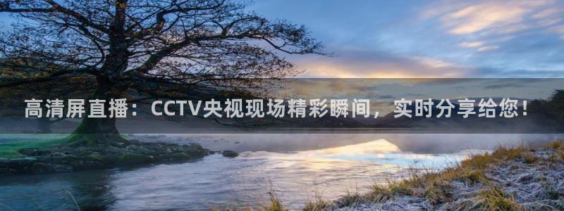 火凤体育直播