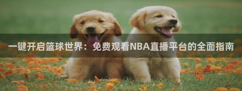 火凤直播足球：一键开启篮球世界：免费观看NBA直播平台的全面指南