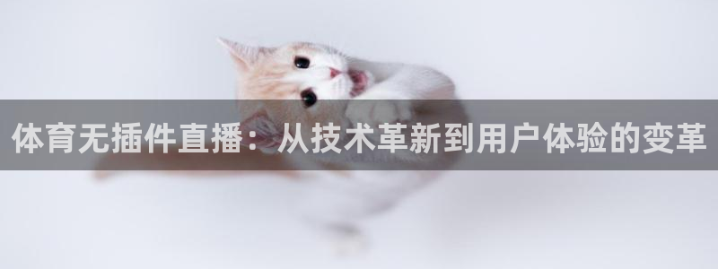 火凤体育直播免费比赛：体育无插件直播：从技术革新到用户体验的变革